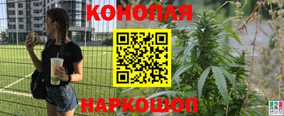 гашик Старая Купавна