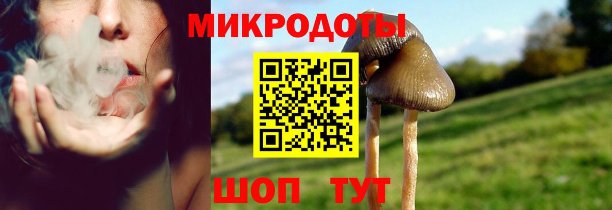 Галлюциногенные грибы прущие грибы Орехово-Зуево